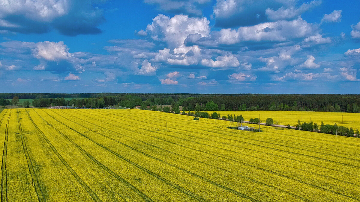 New Federal Funding for Canadian Farmers Supports a Greener Agriculture in Canada￼