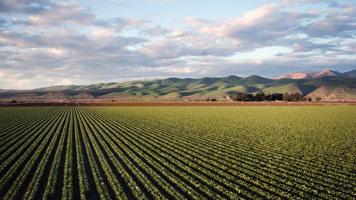 Government of Canada Announces 9 New Living Labs to Help Farmers Combat Climate Change￼