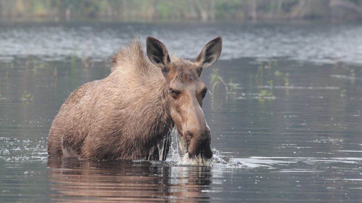 Innovative Funding Boosts Economic Development in Northern Ontario