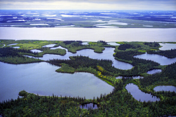 Canada’s largest watershed demands long-term stewardship rooted in science and partnership. Image source: https://x.com/WaterAgencyCAN/status/2022015452583440390