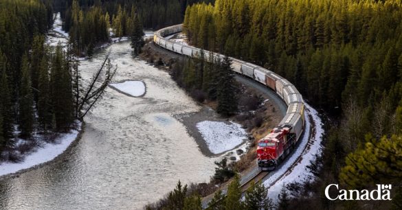 Small craft harbours are the working backbone of coastal communities in Canada. Image source: https://x.com/FinanceCanada/status/2052839380213964954