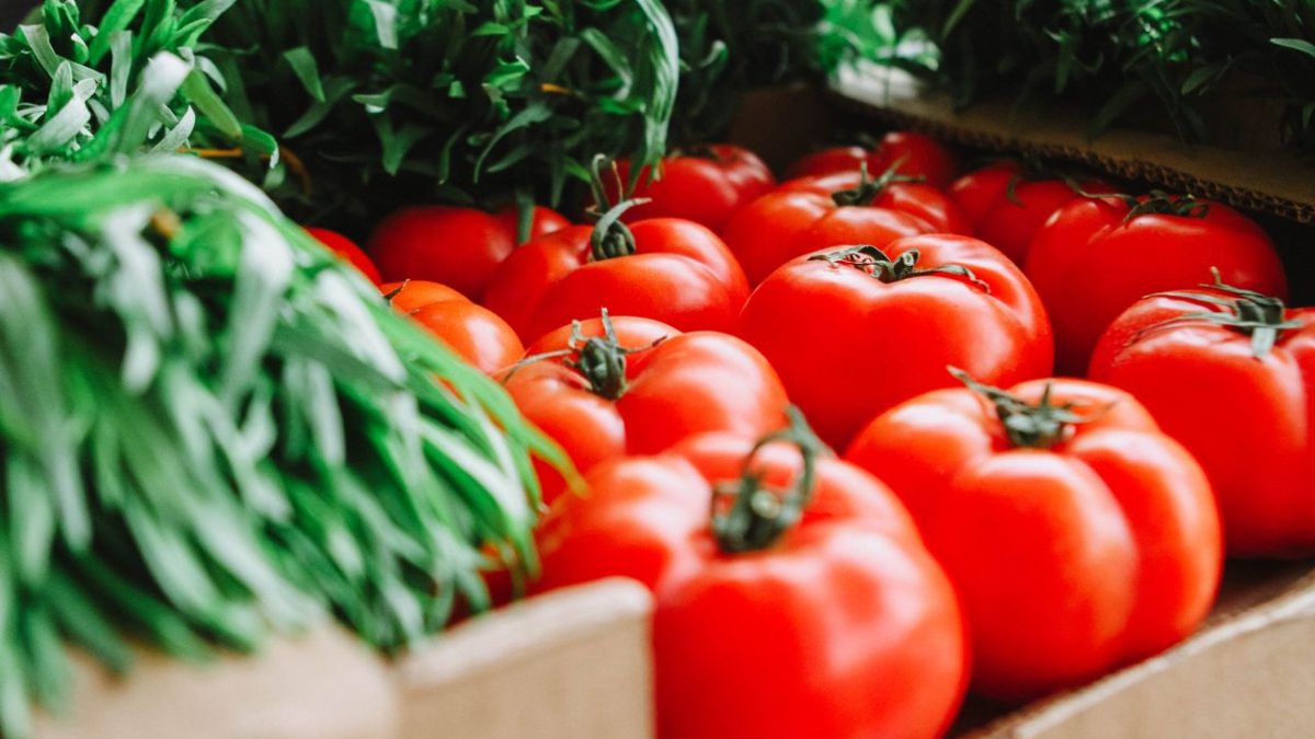 Competition Bureau Expands Focus to Canada’s Entire Food Supply Chain