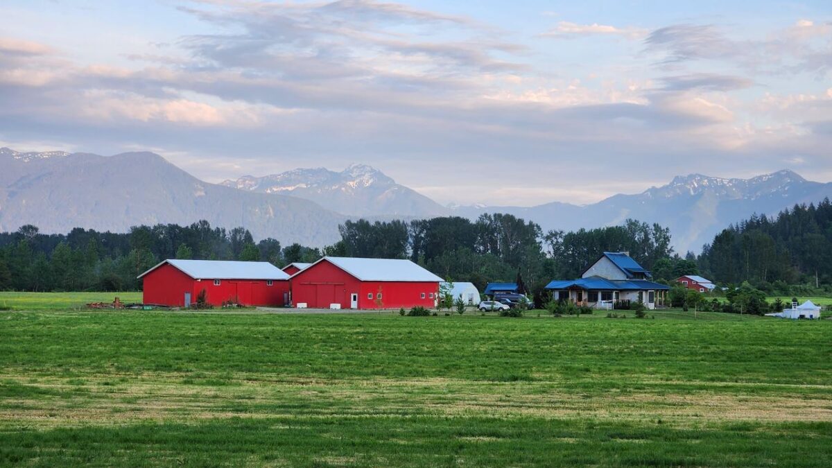 Rural Voices Shape Canada’s Next Development Strategy