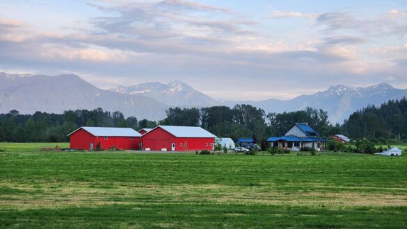 Participants emphasized the importance of solutions that reflect local realities and are rooted in community priorities. Image source: Cheyyenne North on Pexels.