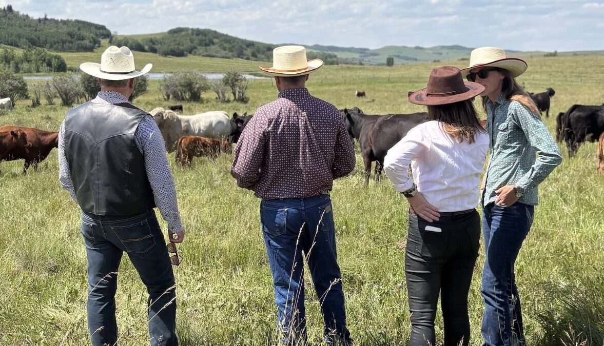 Canada Reopens Dominican Republic Market to Beef Exports After More Than Two Decades