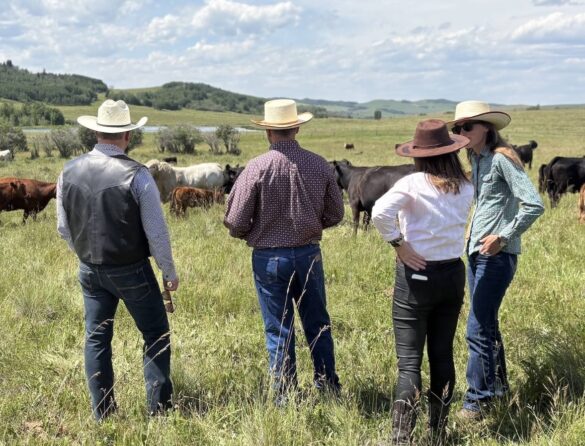 “The Dominican Republic is an important and growing market in the Americas, and re-opening access creates new opportunities for our farmers and processors to expand their reach, strengthen their operations, and support jobs across Canada.” — Heath MacDonald. Image - https://x.com/CornwallHeath/status/2098483732084555935